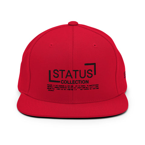 STATUS Snapback Hat