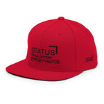 STATUS Snapback Hat