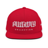 ALLEGEDLY Snapback Hat